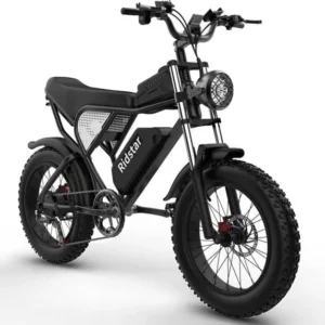 Ridstar Q20 48V Fat Tire Electric Bike with LCD Meter